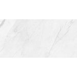 Load image into Gallery viewer, Anatolia Vera Carrara 24 in. x 48 in. Polished Porcelain Floor and Wall Tile (15.5 sq.ft./Case)
