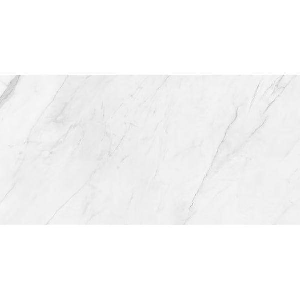 Anatolia Vera Carrara 24 in. x 48 in. Polished Porcelain Floor and Wall Tile (15.5 sq.ft./Case)