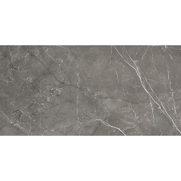 Anatolia Eden Carbon 12 in. x 24 in. Matte Pressed Porcelain Tile