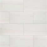 Load image into Gallery viewer, MSI Stone ULC Ader Pamplona 12 in. x 24 in. Polished Porcelain Floor and Wall Tile (16 sq. ft./Case)
