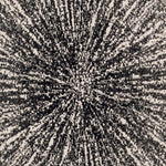 Charger l&#39;image dans la visionneuse de galerie, Tapis d&#39;intérieur rond Safavieh Evoke Martin, noir/ivoire, 1,80 m x 1,80 m
