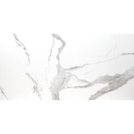 Load image into Gallery viewer, MSI Ader Tegal 12 in. x 24 in. Polished Marble Look Porcelain Tile (16 sq.ft./Case)
