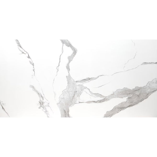 MSI Ader Tegal 12 in. x 24 in. Polished Marble Look Porcelain Tile (16 sq.ft./Case)