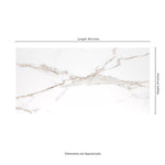 Load image into Gallery viewer, MSI Majestic Nugget 24 in. x 48 in. Polished Porcelain Tile (16 sq.ft./Case)
