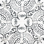 Load image into Gallery viewer, MSI Paloma Encaustic 8 in. x 8 in. Glazed Porcelain Tile (5.16 sq.ft./Case)

