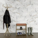 Charger l'image dans la visionneuse de galerie, MSI Ader Tegal 24 inch x 48 inch Polished Porcelain Floor and Wall Tile – 16 sq.ft. per Case
