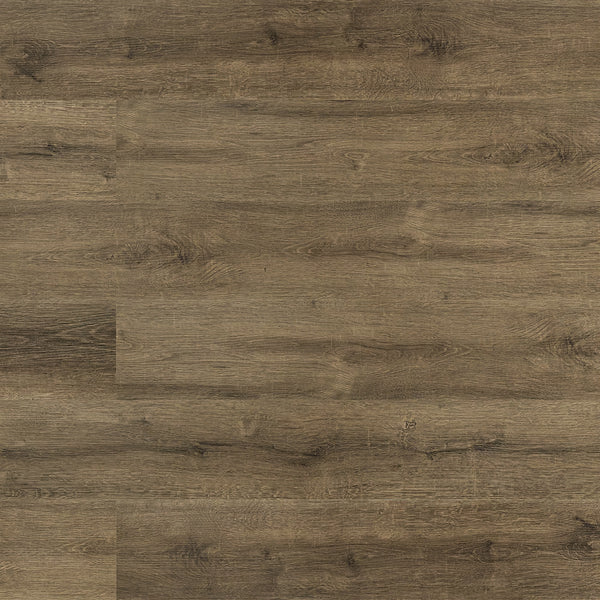 Home Decorators Collection Autumn Trail Oak 5mm x 7 in. W x 48 in. L 12MIL Click Lock Waterproof Luxury Vinyl Planks Flooring (23.77 sq.ft./case)