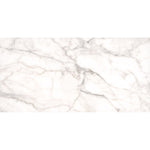 Load image into Gallery viewer, MSI Stone ULC White Vena Matte 12x24 Glazed Ceramic Floor &amp; Wall Tile
