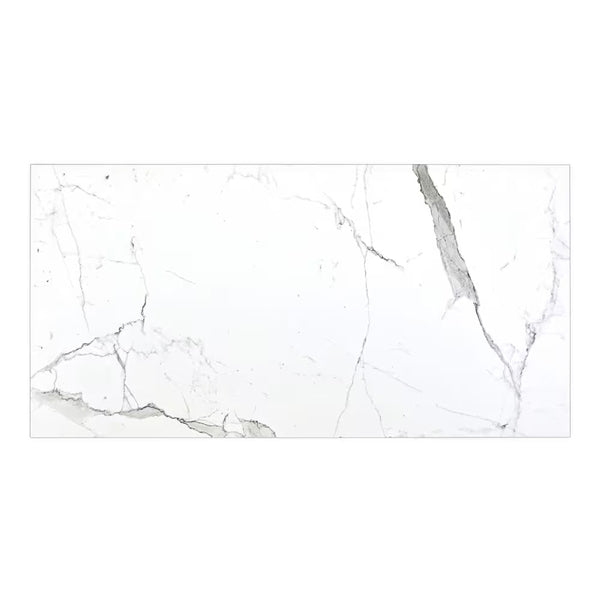 Modamo Belize Statuario Matte 24-inch x 48-inch Porcelain Floor & Wall Tile