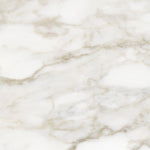 Load image into Gallery viewer, Anatolia Calacatta Crescente Matte Ceramic Floor and Wall Tile 12 inch x 12 inch 0.31 inch Thick 13.56 sq ft/case