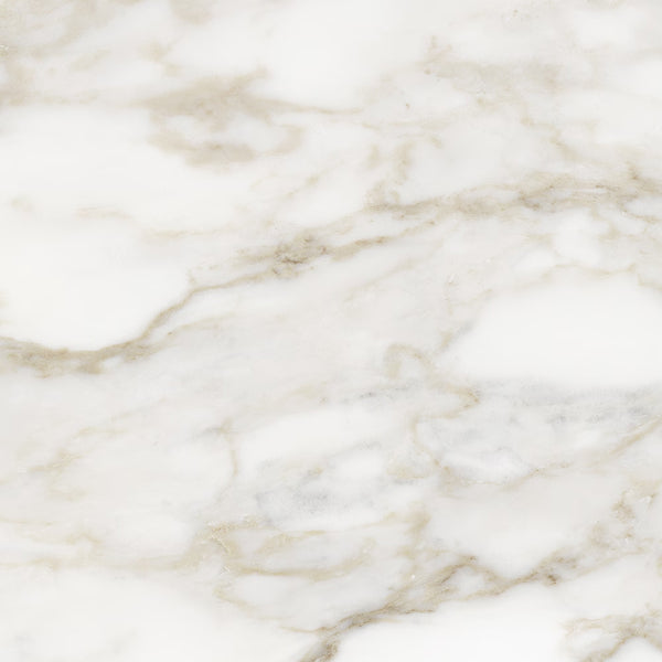 Anatolia Calacatta Crescente Matte Ceramic Floor and Wall Tile 12 inch x 12 inch 0.31 inch Thick 13.56 sq ft/case