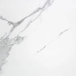 Load image into Gallery viewer, CARRARA Porcelain Tile, 24 in. x 24 in., White – 15.5 sq.ft./box