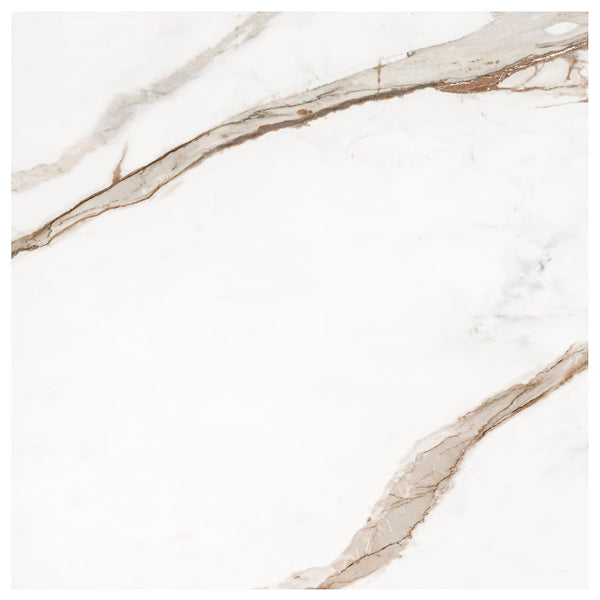 MSI Regallo Calacatta Marbella Porcelain Tile 0.39 inch Thick 24 inch x 24 inch 11.63 sq. ft./case Matte Marble Look