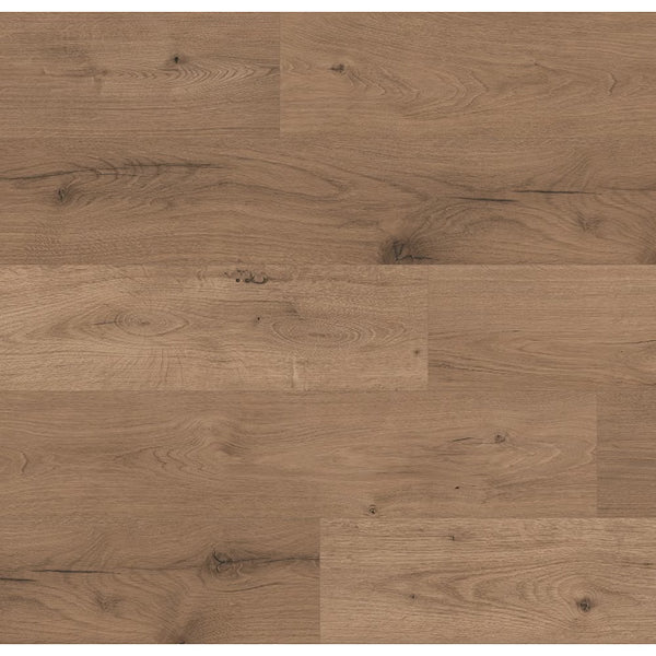 TrafficMaster Teddy Oak 12mm x 7.6 in. W x 54.45 in. L Brown Wood Look Laminate Flooring (17.24 sq.ft./case)
