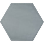 Load image into Gallery viewer, Anatolia Teramoda Sterling Hexagon Glossy Pressed Ceramic Wall Tile 6 inch – 6.67 sq.ft./case Glossy Sterling