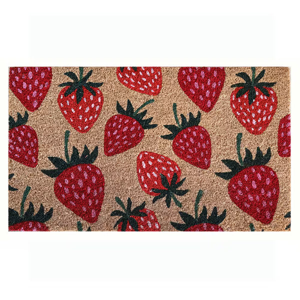StyleWell 18 inch x 30 inch Strawberry Coir Door Mat