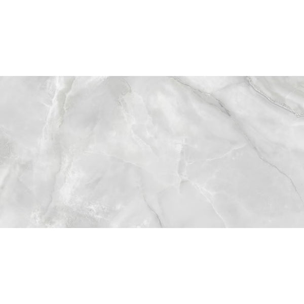 Anatolia 24 inch x 48 inch Onyx Cromo Polished Rectified Porcelain Tile 15.5 sq ft per Case Marble Look