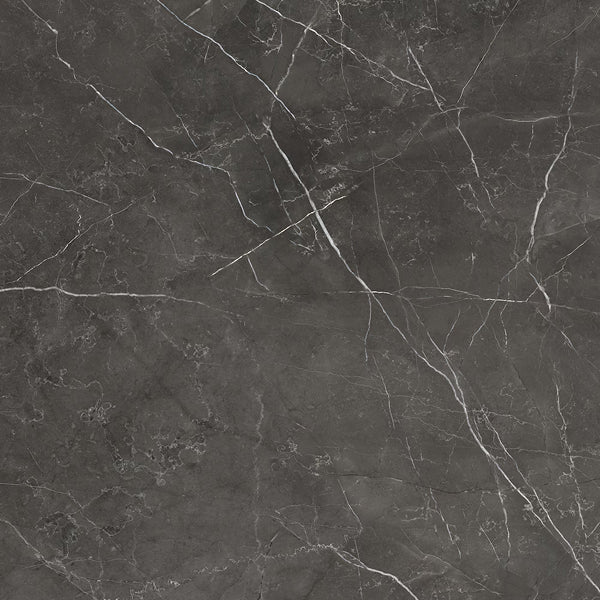 Anatolia 24-inch x 24-inch Saturna Notte Polished Rectified Porcelain Tile