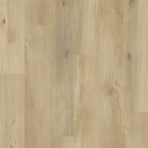 Sunrise Oak 5mm - Glue Down Luxury Vinyl Tile (LVT) 9″ x 61″, 22MIL Wear Layer, Wood Look
