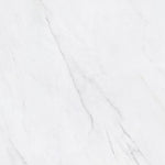 Load image into Gallery viewer, Anatolia 24-inch x 24-inch Virtus Carbona Matte Rectified Porcelain Tile (Copy)
