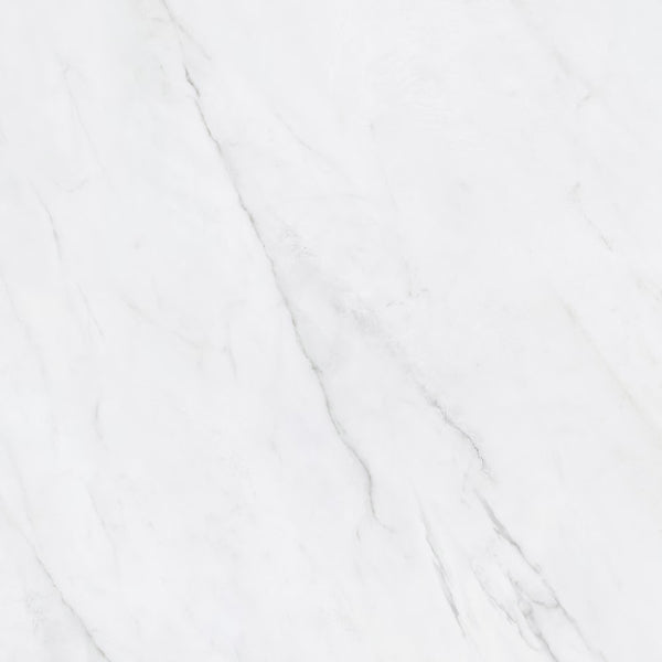 Anatolia 24-inch x 24-inch Virtus Carbona Matte Rectified Porcelain Tile (Copy)