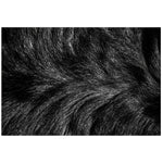 Charger l'image dans la visionneuse de galerie, Home Decor Inc. Black 30 inch x 45 inch Faux Fur Indoor Rug with Faux Suede Anti-Slip Backing