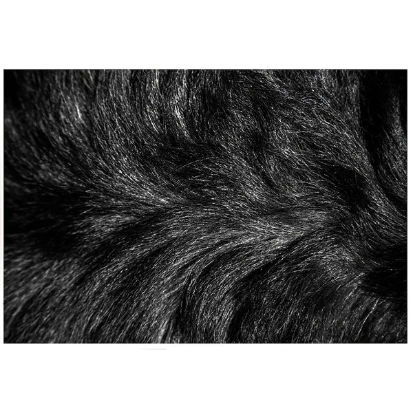 Home Decor Inc. Black 30 inch x 45 inch Faux Fur Indoor Rug with Faux Suede Anti-Slip Backing