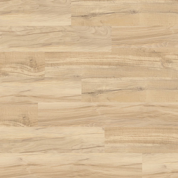 Lifeproof Bailey's Beach Oak 6.5mm x 8.7 in. W x 47.6 in. L 22MIL Click Lock Waterproof Luxury Vinyl Plank Flooring (20.1 sq.ft./case)