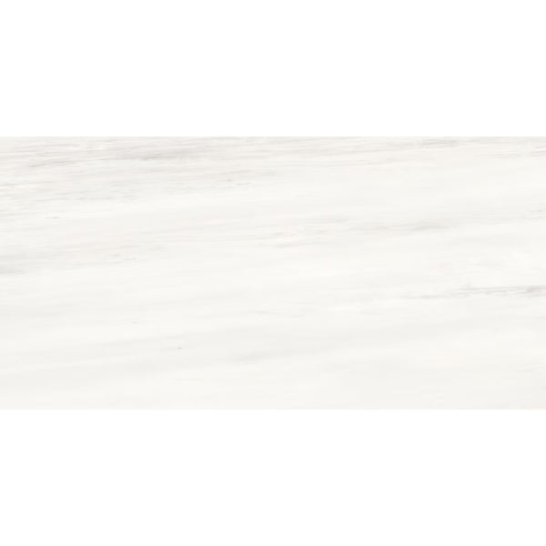 Anatolia Dolomite Bianco Matte Rectified Porcelain Tile 0.33 inch Thick 12 inch x 24 inch 15.5 sq ft/case Matte
