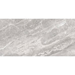 Charger l'image dans la visionneuse de galerie, Anatolia Marino Grey Porcelain Tile 0.30 inch Thick 12 inch x 24 inch 15.5 sq ft/case Polished Rectified