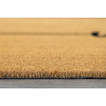 Load image into Gallery viewer, Viana Helix 3 ft x 5 ft Welcome Coir Door Mat
