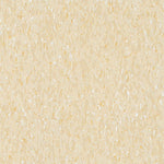 Charger l&#39;image dans la visionneuse de galerie, Carreaux de vinyle Bruce Imperial Texture 12 po x 12 po, beige désert

