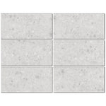 Load image into Gallery viewer, Stonehenge 2mm Thick 12&quot; W x 24&quot; L Terrazzo Look Glue Down Luxury Vinyl Tile (40 SQ. FT.)
