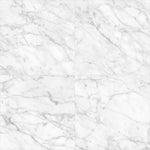 Load image into Gallery viewer, Anatolia Riviera Carrara 24 inch x 24 inch Matte Pressed Porcelain Tile 15.5 sq ft per Case Marble Look