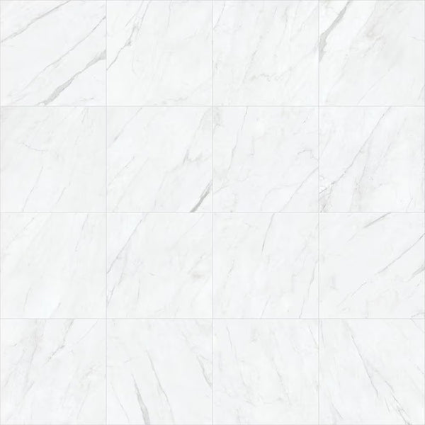 Anatolia Vera Carrara 24-inch x 24-inch Polished Rectified Porcelain Tile