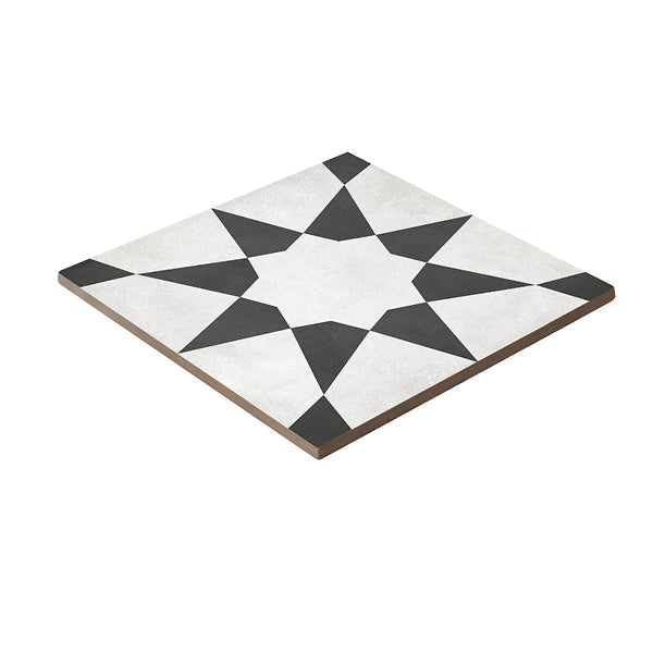 Anatolia Artisano Splendor 8 inch x 8 inch High Definition Matte Porcelain Floor and Wall Tile (7.32 sq. ft./Case)