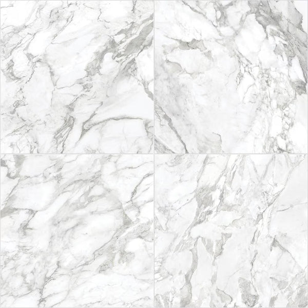 Anatolia 24 inch x 24 inch Domani Bianco Polished Rectified Marble Look Porcelain Tile 15.5 sq ft per Case