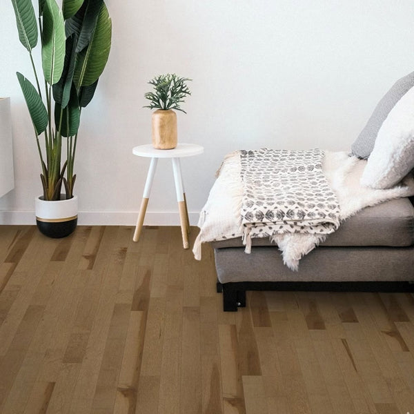 Solid maple Papyrus flooring with matte finish and natural wood character