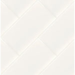 Charger l'image dans la visionneuse de galerie, Segment 3 in. x 6 in. Glossy Ceramic Subway Wall Tile
