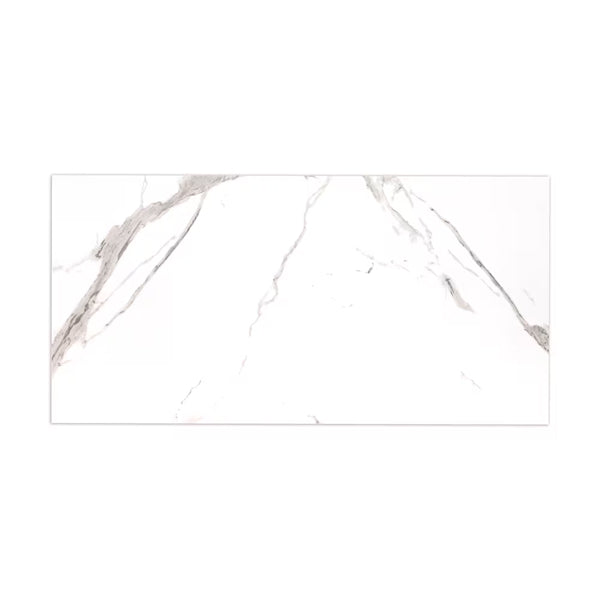 MSI Ader Tegal 24 inch x 48 inch Polished Porcelain Floor and Wall Tile – 16 sq.ft. per Case