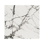 Charger l'image dans la visionneuse de galerie, MSI Stone ULC Andrassy Polished Porcelain Marble Look Tile 48 inch x 48 inch – 15.50 sq. ft. Coverage – High Gloss Large Format Floor &amp; Wall Tile