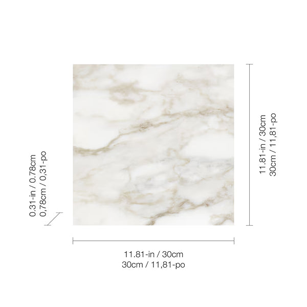 Anatolia Calacatta Crescente Matte Ceramic Floor and Wall Tile 12 inch x 12 inch 0.31 inch Thick 13.56 sq ft/case