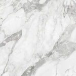 Load image into Gallery viewer, Anatolia 24 inch x 24 inch Domani Bianco Polished Rectified Marble Look Porcelain Tile 15.5 sq ft per Case