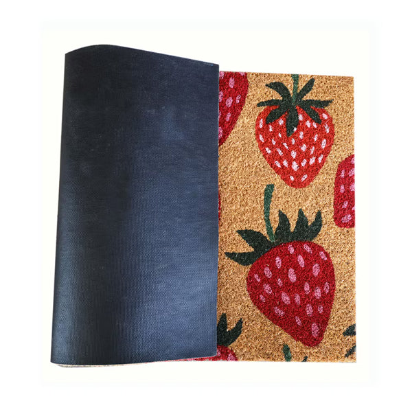 StyleWell 18 inch x 30 inch Strawberry Coir Door Mat
