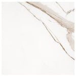 Charger l'image dans la visionneuse de galerie, MSI Regallo Calacatta Marbella Porcelain Tile 0.39 inch Thick 24 inch x 24 inch 11.63 sq. ft./case Matte Marble Look