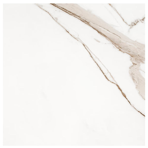 MSI Regallo Calacatta Marbella Porcelain Tile 0.39 inch Thick 24 inch x 24 inch 11.63 sq. ft./case Matte Marble Look