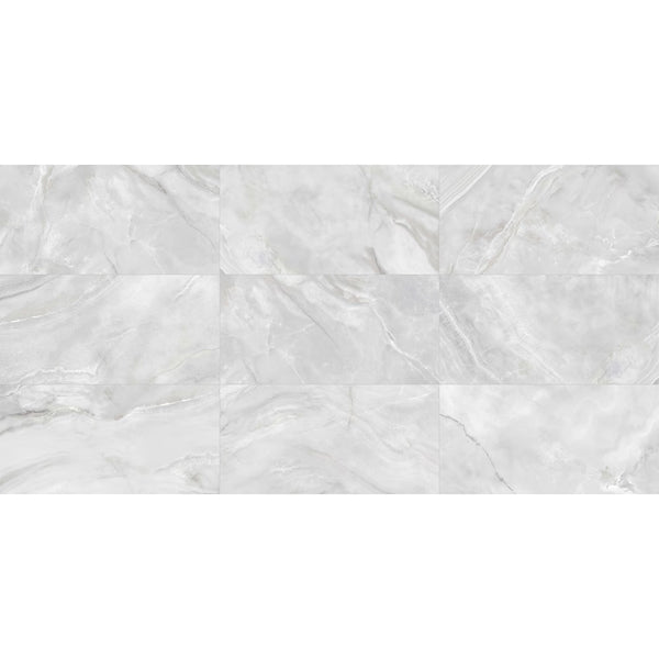 Anatolia 24 inch x 48 inch Onyx Cromo Polished Rectified Porcelain Tile 15.5 sq ft per Case Marble Look