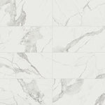 Load image into Gallery viewer, Anatolia Statuario Porcelain Tile 24 inch x 48 inch 15.5 sq. ft./case Polished Rectified Large Format Glossy Finish