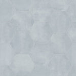 Load image into Gallery viewer, Anatolia Artisano Acqua Hexagon 7 inch x 8 inch Matte Porcelain Tile – 2.8 sq.ft. per Case