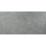 Charger l'image dans la visionneuse de galerie, MSI Stone ULC Magelannic Silver Porcelain Tile 0.37 inch Thickness 24 inch Width 16 sq. ft. Coverage Polished Finish Marble Look